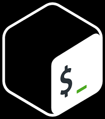 bash command